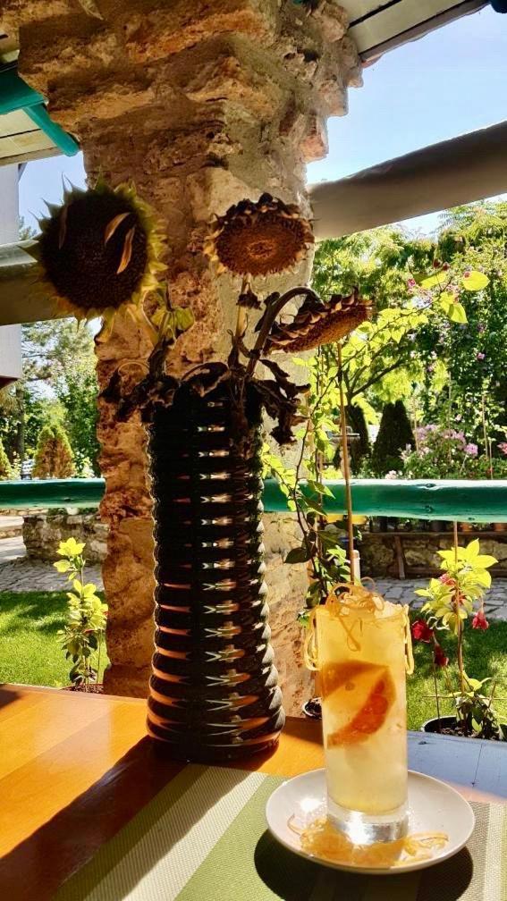 Vamabel House Bed & Breakfast Vama Veche Exterior foto