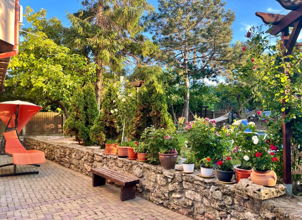 Vamabel House Bed & Breakfast Vama Veche Exterior foto