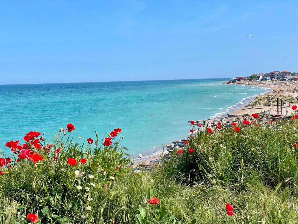 Vamabel House Bed & Breakfast Vama Veche Exterior foto